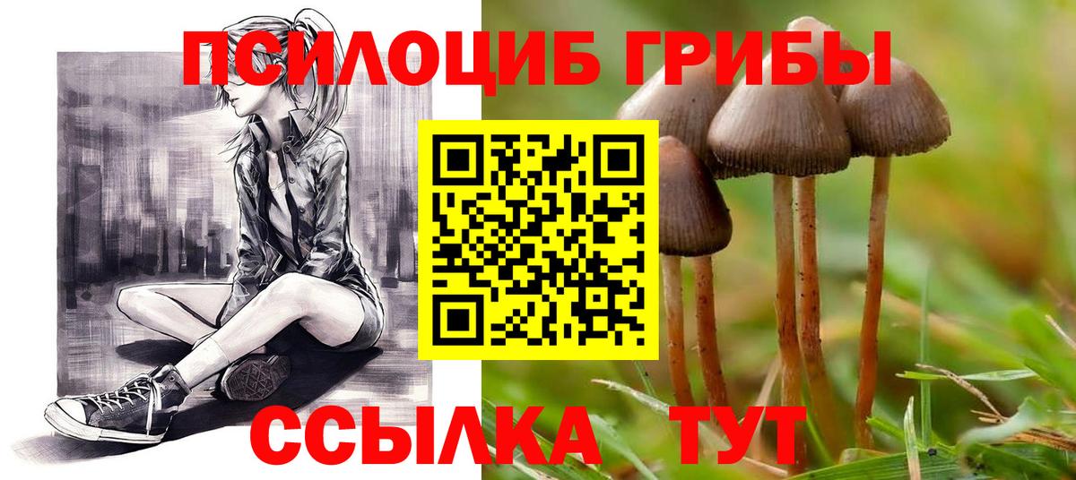 Галлюциногенные грибы Psilocybe Магнитогорск